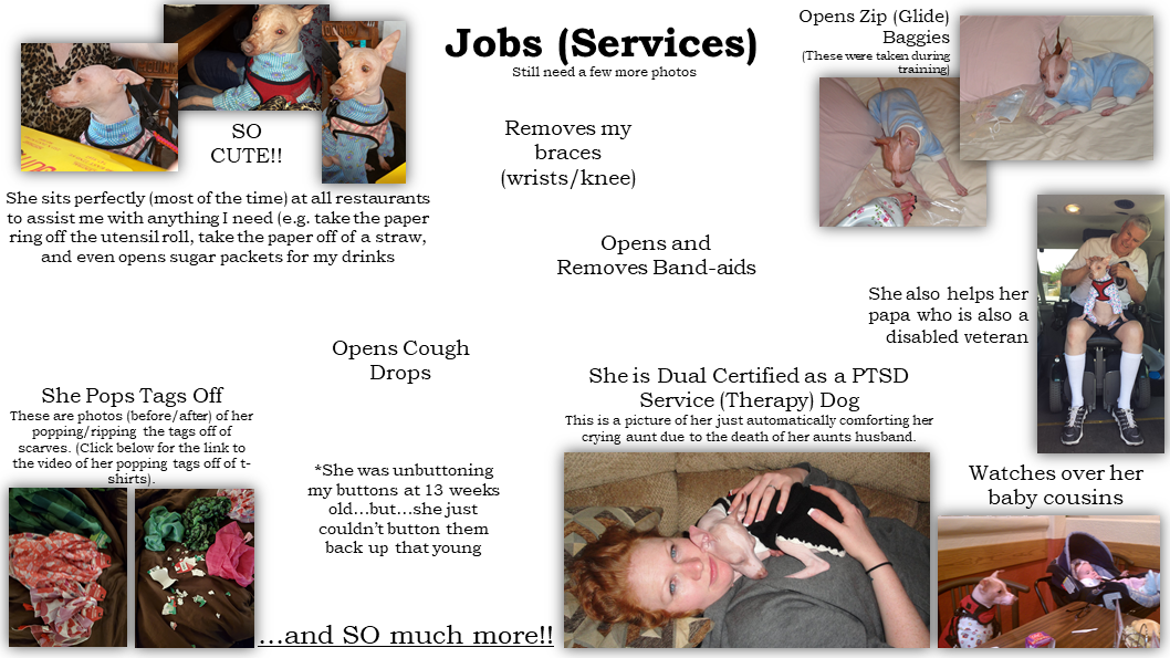 jobs image.